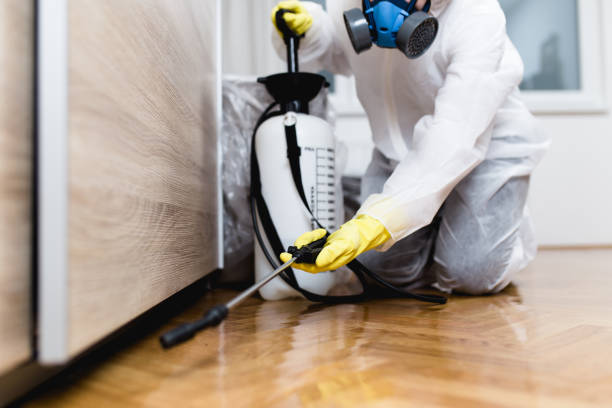 Best Pest Removal Services  in Bozeman, MT