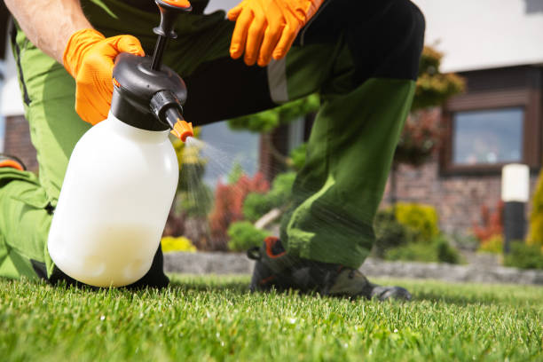 Best Mosquito Control Services  in Bozeman, MT