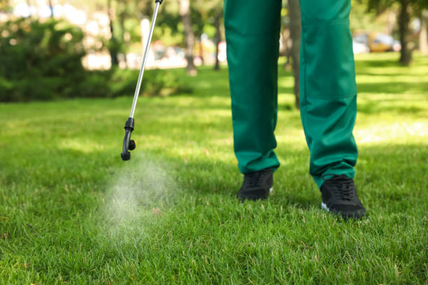 Best Flea Control Services  in Bozeman, MT