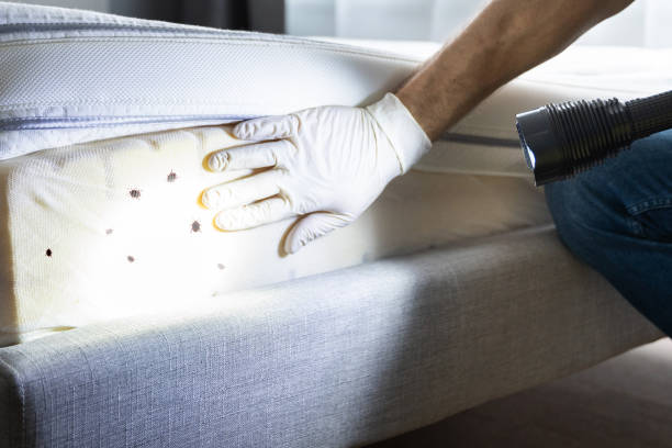 Best Pest Inspection Near Me  in Bozeman, MT