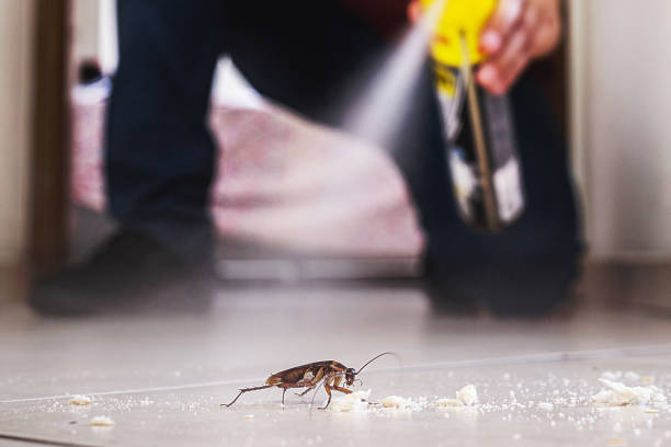 Best Pest Control Treatment  in Bozeman, MT