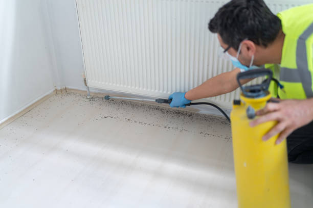 Professional Pest Control in Bozeman, MT